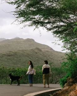 Timeless Organic Cotton Crop Pants